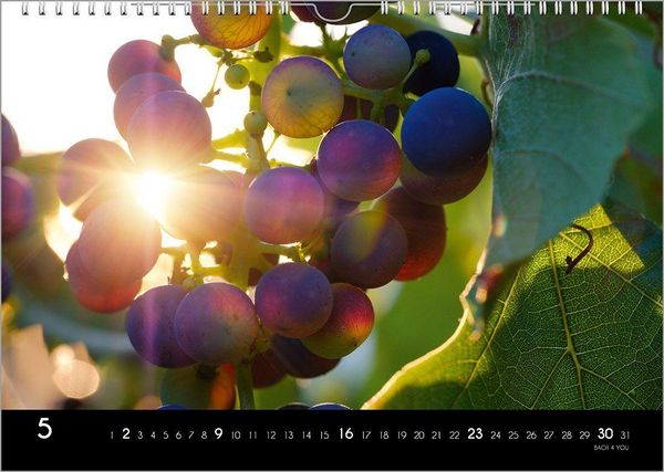 Produktbild: Der Weinkalender 2027, DIN A3 &ndash; ein Fotokalender
