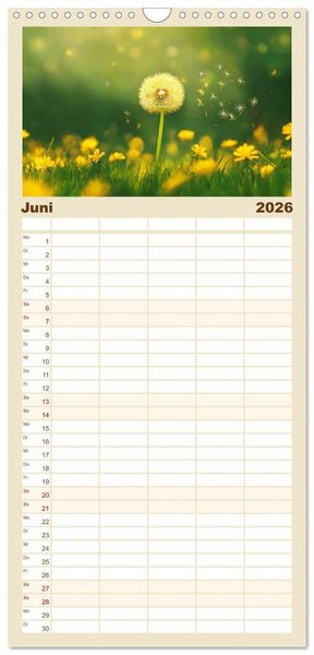 Produktbild: Familienplaner 2026 - Minimalistische Naturmomente &ndash; Ruhe und Sch&ouml;nheit in der Natur mit 5 Spalten (Wandkalender, 21 x 45 cm) CALVENDO