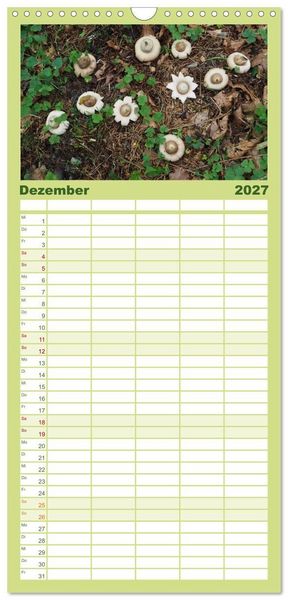 Produktbild: Familienplaner 2027 - Pilze - tolle Funde mit 5 Spalten (Wandkalender, 21 x 45 cm) CALVENDO