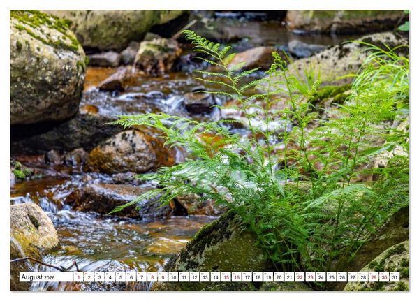 Produktbild: Harzwanderung-Durch das Ilsetal zu den Ilsef&auml;llen (Tischkalender 2026 DIN A5 quer), CALVENDO Monatskalender