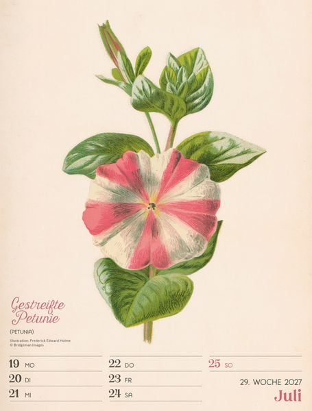 Produktbild: Ars Floralis Wochenplaner Kalender 2027