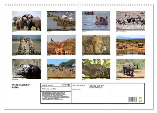 Produktbild: Wildes Leben in Afrika (Wandkalender 2026 DIN A2 quer), CALVENDO Monatskalender