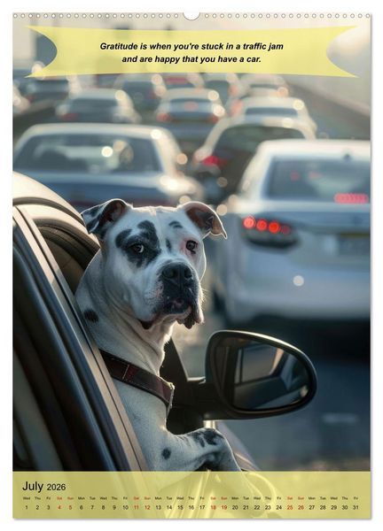 Produktbild: A year of greatfullness with funny animals (Wall Calendar 2026 DIN A2 portrait), CALVENDO 12 Month Wall Calendar