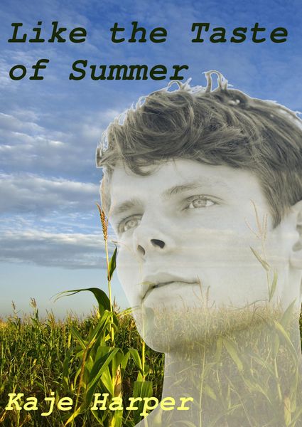Produktbild: Like the Taste of Summer