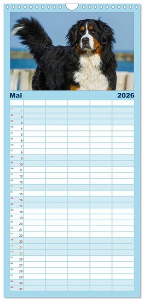Produktbild: Familienplaner 2026 - Berner Sennenhund 2026 mit 5 Spalten (Wandkalender, 21 x 45 cm) CALVENDO