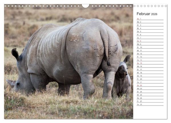 Produktbild: Emotionale Momente: Nash&ouml;rner (Wandkalender 2026 DIN A3 quer), CALVENDO Monatskalender