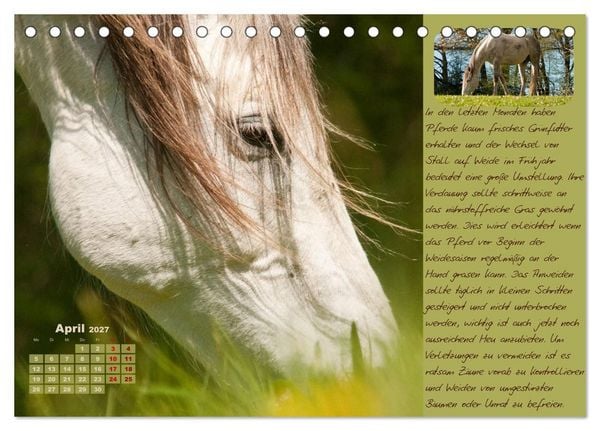 Produktbild: Pferdehaltung Tipps und Wissenswertes (Tischkalender 2027 DIN A5 quer), CALVENDO Monatskalender