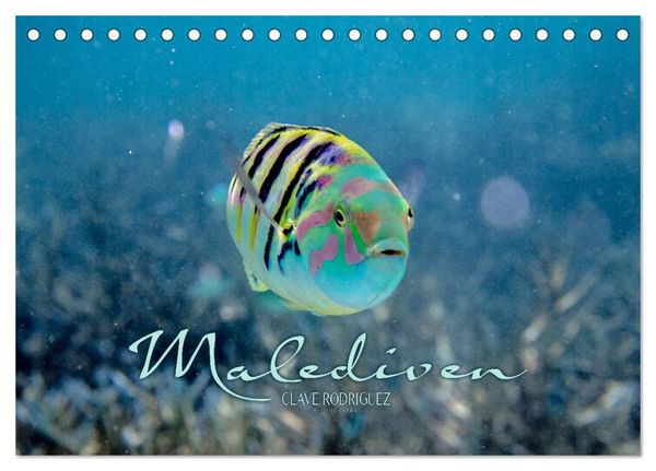Produktbild: Unterwasserwelt der Malediven II (Tischkalender 2027 DIN A5 quer), CALVENDO Monatskalender