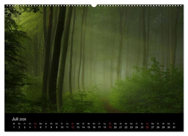 Produktbild: Mysterium Wald (hochwertiger Premium Wandkalender 2026 DIN A2 quer), Kunstdruck in Hochglanz