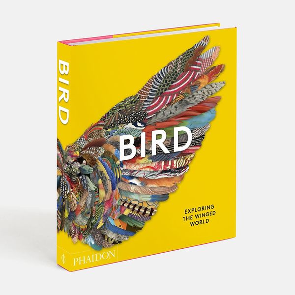Produktbild: Bird: Exploring the Winged World