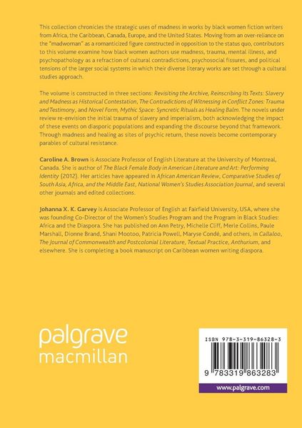 Produktbild: Madness in Black Women&rsquo;s Diasporic Fictions