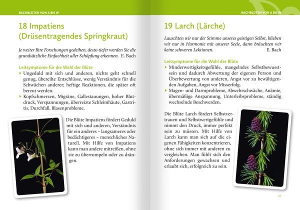 Produktbild: Heilen mit Bachbl&uuml;ten. Das Kartenset. Mit 42 Bachbl&uuml;ten-Karten und 46-seitigem Booklet