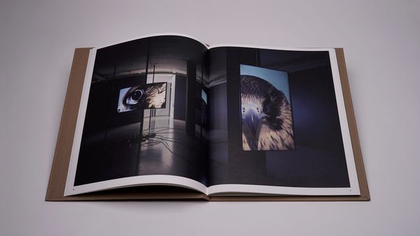 Produktbild: Jo&atilde;o Onofre &ndash; Untitled (in awe of)