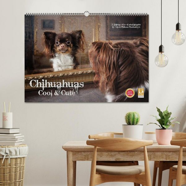 Produktbild: Chihuahuas - Cool and Cute (Wandkalender 2026 DIN A2 quer), CALVENDO Monatskalender