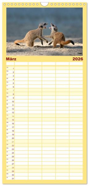 Produktbild: Familienplaner 2026 - Lustige Erdm&auml;nnchen mit 5 Spalten (Wandkalender, 21 x 45 cm) CALVENDO
