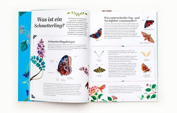 Produktbild: Schmetterlinge