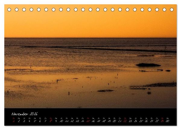 Produktbild: Friedrichskoog Buhnen und Salzwiesen (Tischkalender 2026 DIN A5 quer), CALVENDO Monatskalender