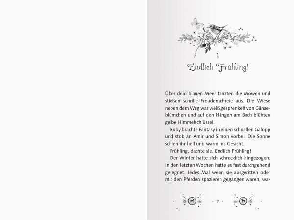 Produktbild: Pferdefl&uuml;sterer-M&auml;dchen, Band 4 - Das kleine Wunder