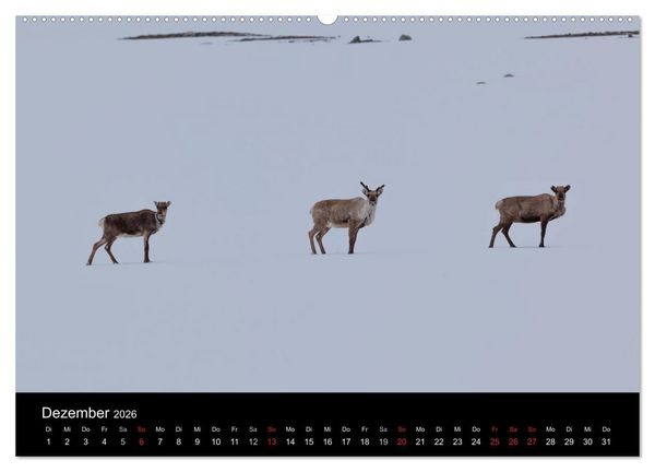 Produktbild: Tierkalender 2026 (hochwertiger Premium Wandkalender 2026 DIN A2 quer), Kunstdruck in Hochglanz