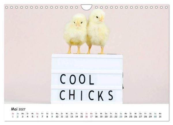 Produktbild: Tierkinder ganz frech (Wandkalender 2027 DIN A4 quer), CALVENDO Monatskalender