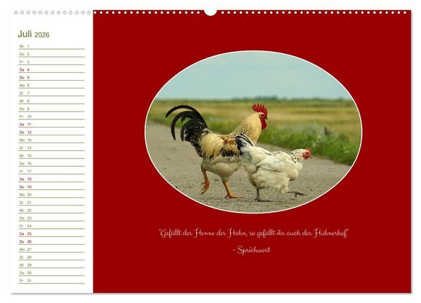 Produktbild: Freilaufende H&uuml;hner (Wandkalender 2026 DIN A2 quer), CALVENDO Monatskalender
