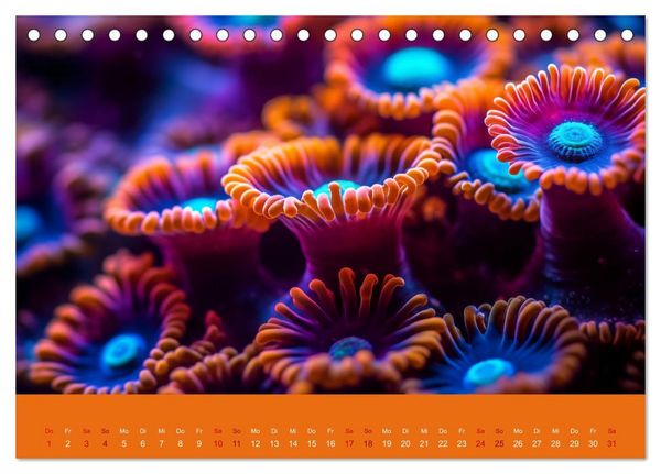 Produktbild: Farbenpracht im Ozean - Die Sch&ouml;nheit der Korallen (Tischkalender 2026 DIN A5 quer), CALVENDO Monatskalender