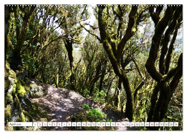 Produktbild: Puerto de la Cruz. Teneriffa Urlaub. (hochwertiger Premium Wandkalender 2026 DIN A2 quer), Kunstdruck in Hochglanz