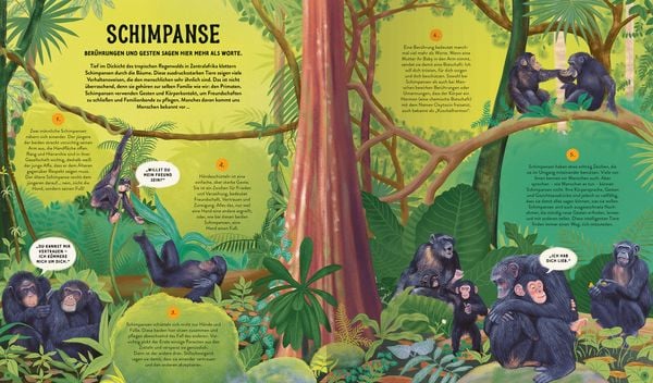 Produktbild: Die Sprache der Natur