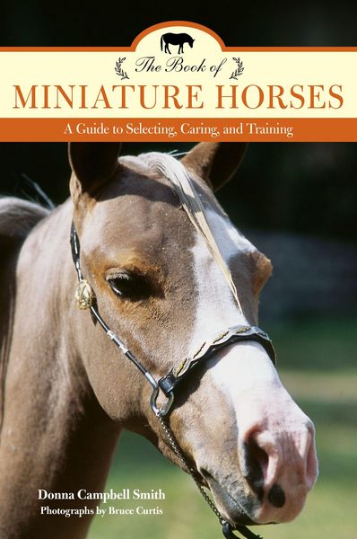 Produktbild: The Book of Miniature Horses