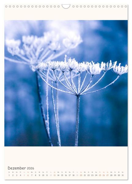 Produktbild: Blumige Fotomalerei (Wandkalender 2026 DIN A3 hoch), CALVENDO Monatskalender