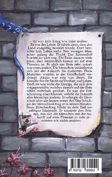 Produktbild: Verborgene Seelen. Illustrierter Fantasyroman auf einem fremden Planeten