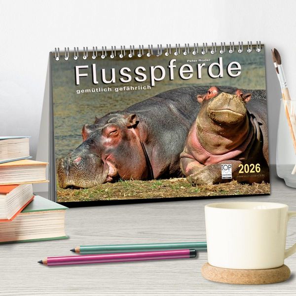 Produktbild: Flusspferde - gem&uuml;tlich gef&auml;hrlich (Tischkalender 2026 DIN A5 quer), CALVENDO Monatskalender