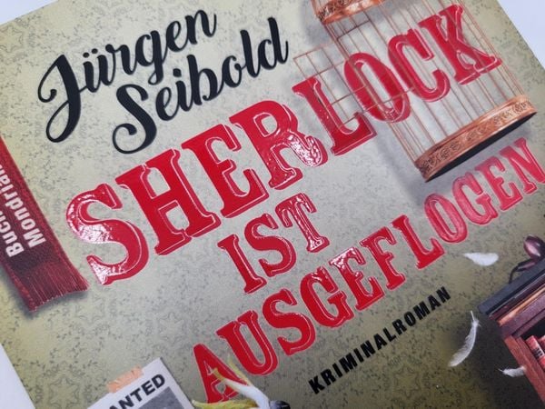 Produktbild: Sherlock ist ausgeflogen