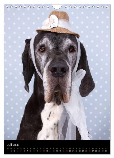 Produktbild: Faszination Deutsche Dogge (Wandkalender 2026 DIN A4 hoch), CALVENDO Monatskalender