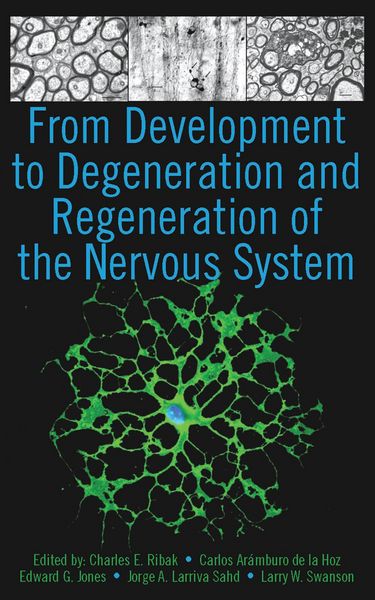 Produktbild: From Development to Degeneration and Regeneration of the Nervous System