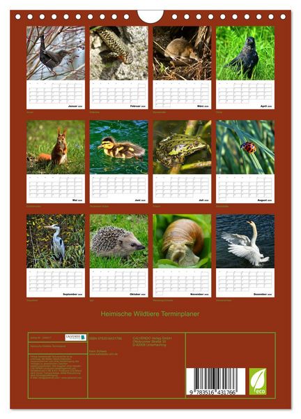 Produktbild: Heimische Wildtiere Terminplaner (Wandkalender 2026 DIN A4 hoch), CALVENDO Monatskalender