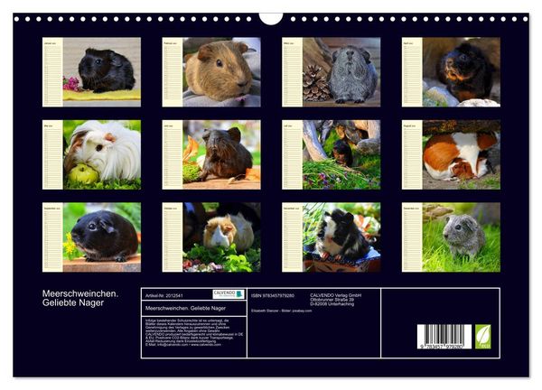 Produktbild: Meerschweinchen. Geliebte Nager (Wandkalender 2026 DIN A3 quer), CALVENDO Monatskalender