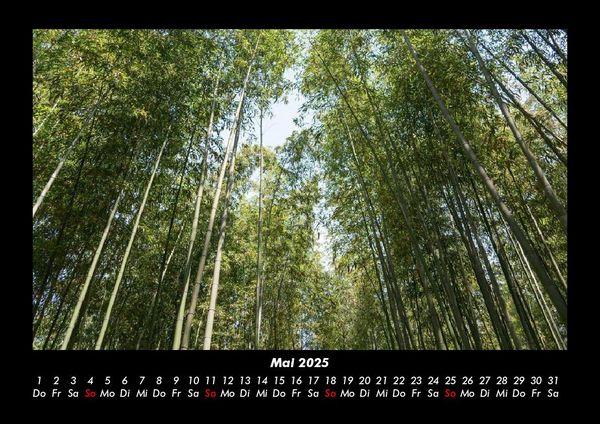 Produktbild: B&auml;ume 2025 Fotokalender DIN A3