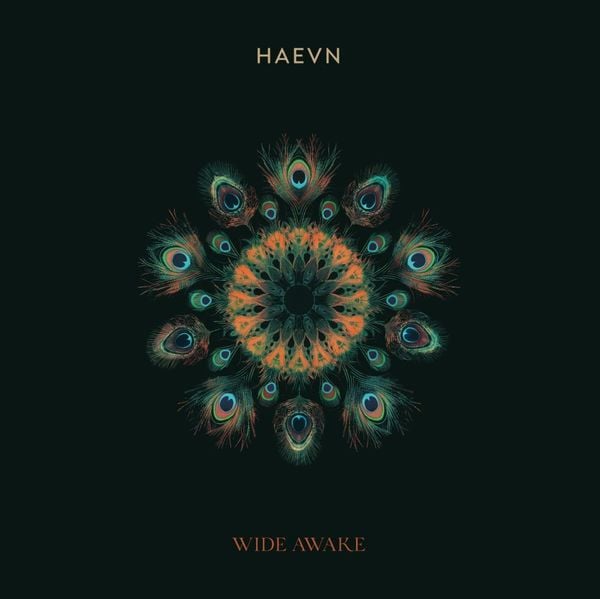 Produktbild: Wide Awake, 1 Schallplatte