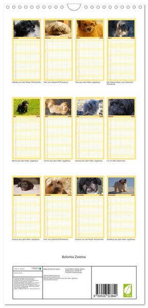 Produktbild: Familienplaner 2026 - Bolonka Zwetna mit 5 Spalten (Wandkalender, 21 x 45 cm) CALVENDO