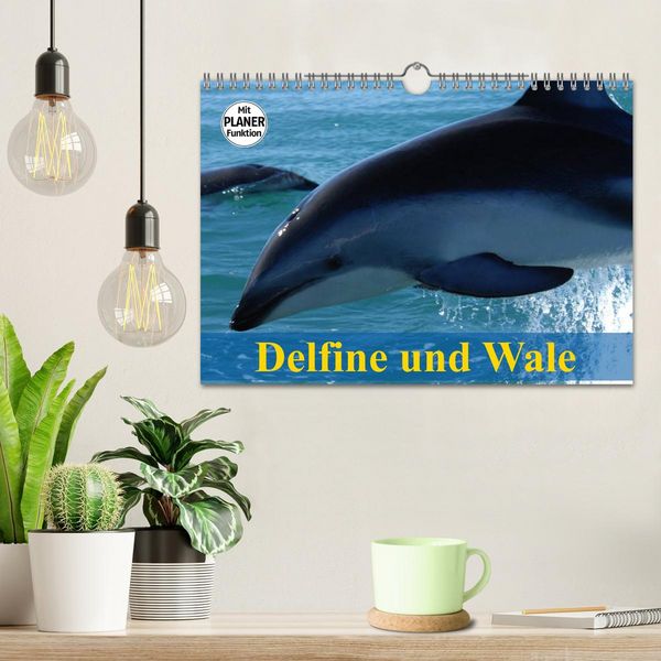 Produktbild: Delfine und Wale (Wandkalender 2026 DIN A4 quer), CALVENDO Monatskalender