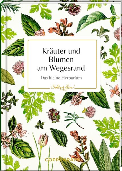 Schöner lesen! No.49: Kräuter & Blumen am Wegesr. (AUGUST.), Gebundene Ausgabe von , Coppenrath Verlag GmbH & Co. KG, 9783649648826