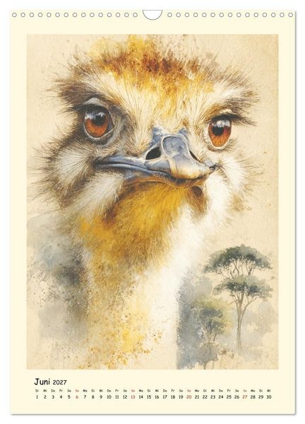 Produktbild: Strau&szlig;e. Afrikas gro&szlig;e Laufv&ouml;gel in Aquarelloptik (Wandkalender 2027 DIN A3 hoch), CALVENDO Monatskalender