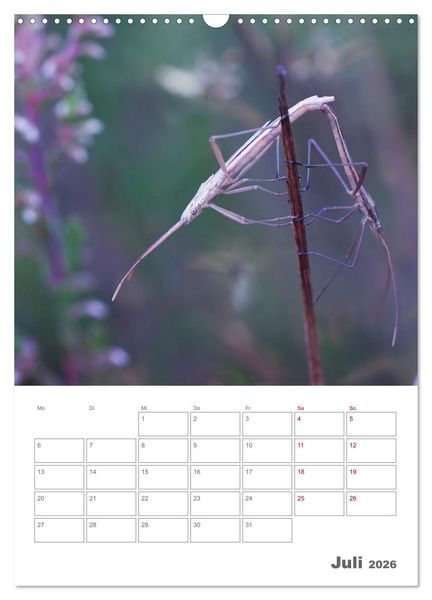 Produktbild: Helden in der Natur (Wandkalender 2026 DIN A3 hoch), CALVENDO Monatskalender