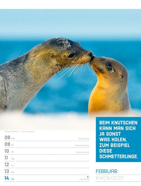 Produktbild: Tierisch Spr&uuml;chekalender Wochenplaner 2027