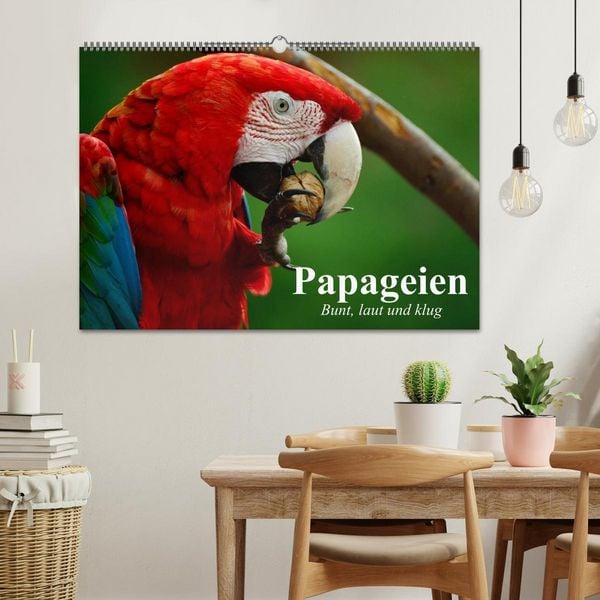 Produktbild: Papageien. Bunt, laut und klug (Wandkalender 2026 DIN A2 quer), CALVENDO Monatskalender