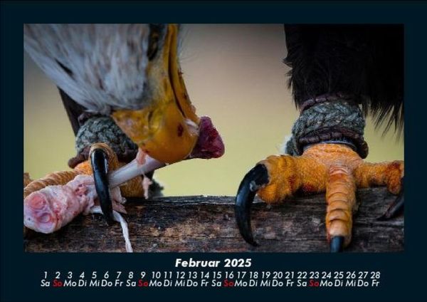 Produktbild: Adler 2025 Fotokalender DIN A5