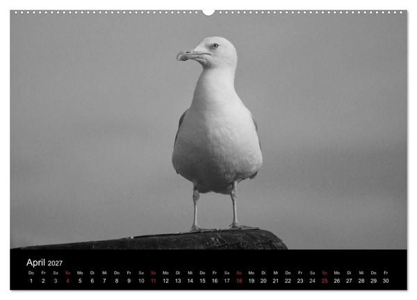 Produktbild: Willkommen in Cuxhaven (Wandkalender 2027 DIN A2 quer), CALVENDO Monatskalender