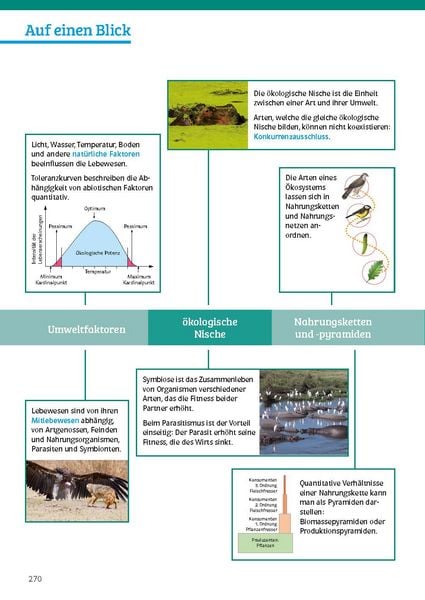 Produktbild: Klett Sicher im Abi Biologie