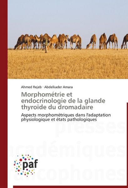 Produktbild: Rejeb, A: Morphom&eacute;trie et endocrinologie de la glande thyro&iuml;